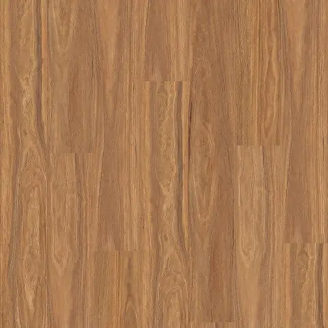 Warm Spotted Gum