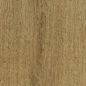 Oak Nevada Plain