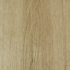 Oak Sahara Dune