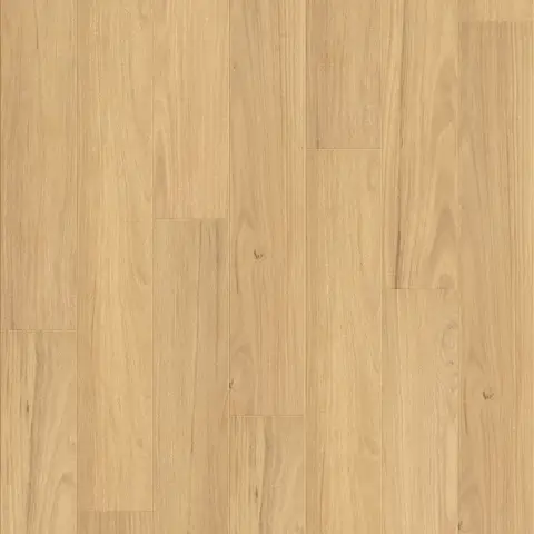 Blackbutt
