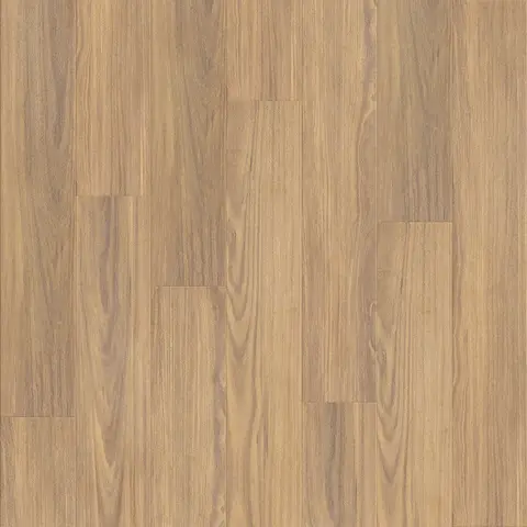 Spotted Gum