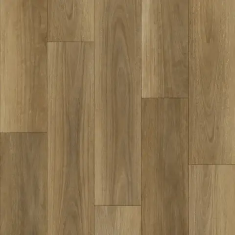 Northern Spotted Gum