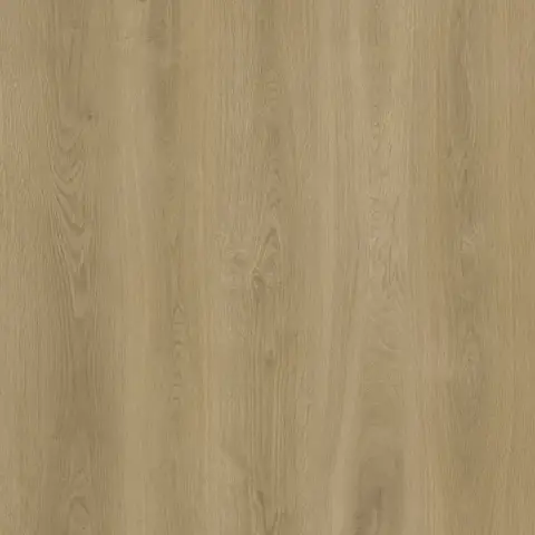 Sparrow
