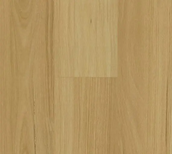 Pinaco NextGen detail