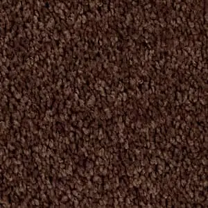Mocha