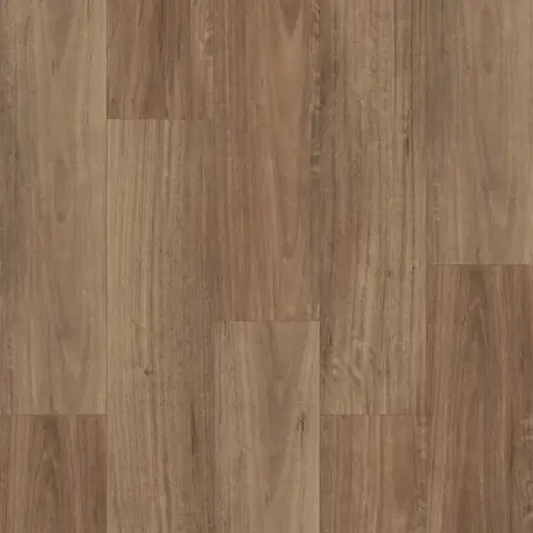 Nsw Spotted Gum