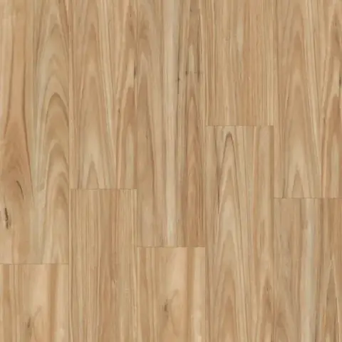 Smooth Blackbutt