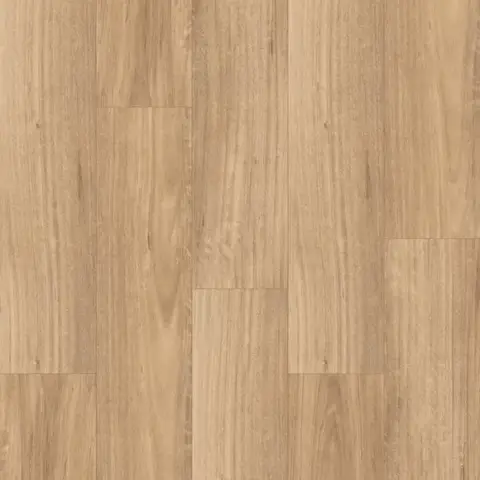 Spotted Gum Light