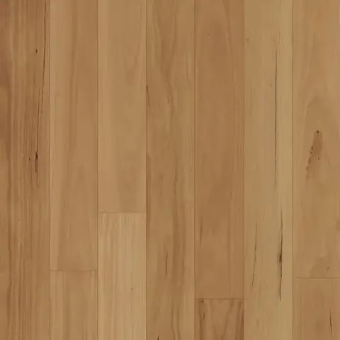 Swish Native