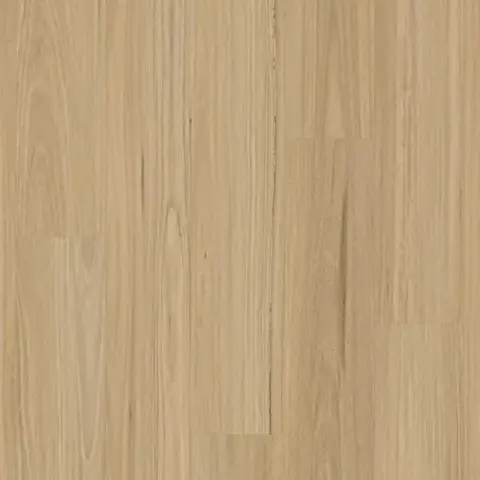 Slb New England Blackbutt