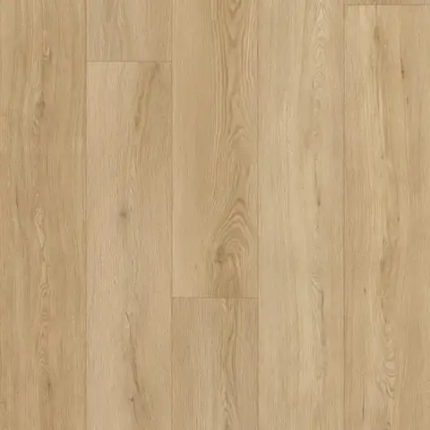 Slb Nutmeg