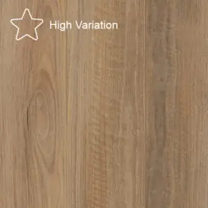 Alpha Spotted Gum