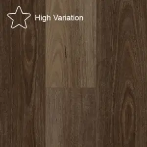 Spotted Gum