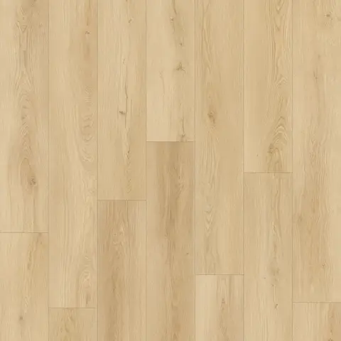 Oak Light