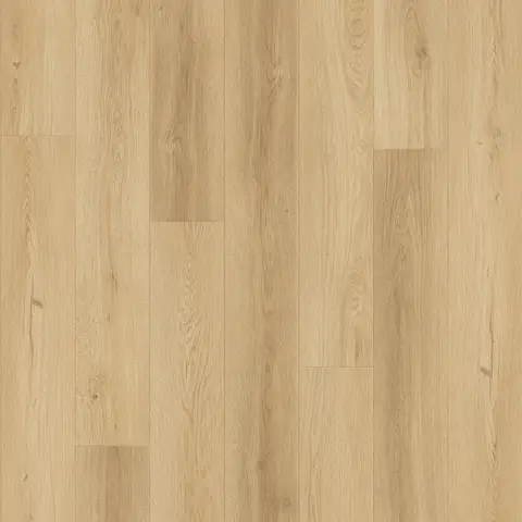 Oak Pearl