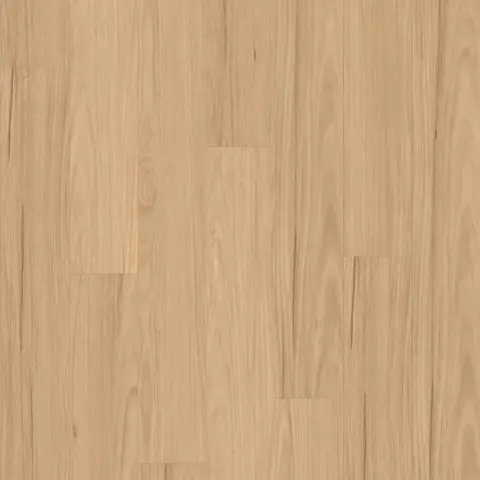 Pale Blackbutt