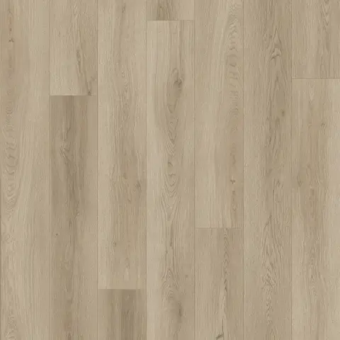Taupe Light