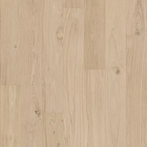 Chai