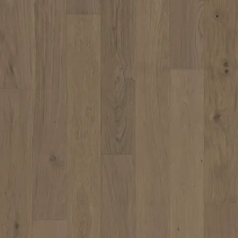 - Cappu