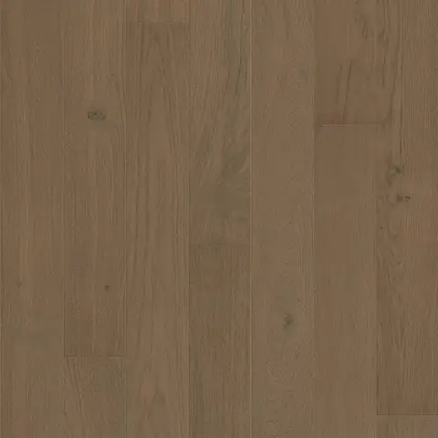 - Mocha
