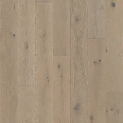 Dove Grey