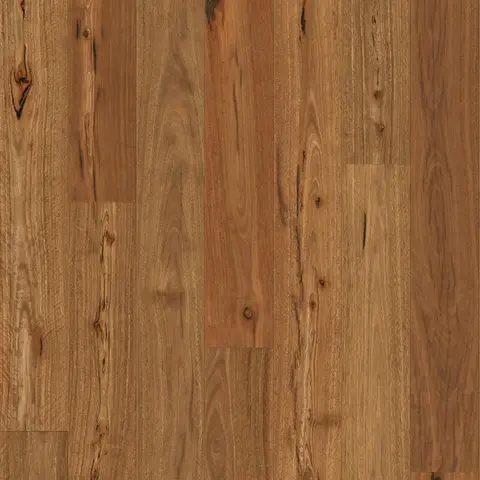 Rustic Spotted Gum
