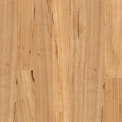 Tasmanian Oak (Smooth Matte)